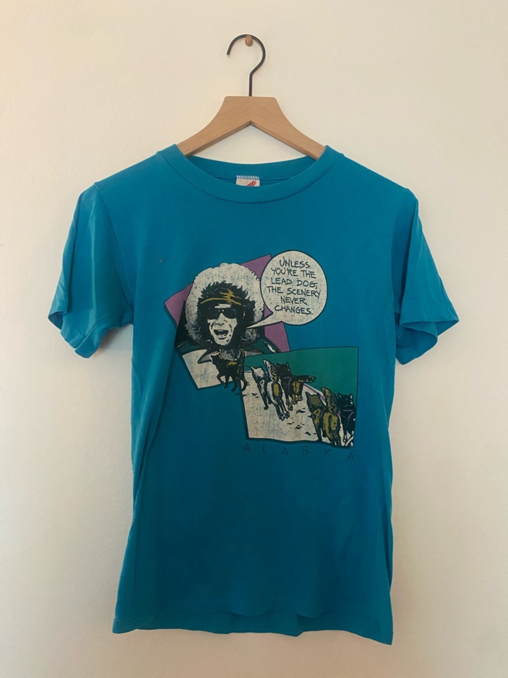 Vintage Jerzees Teal Alaska Graphic Short Sleeve Tee